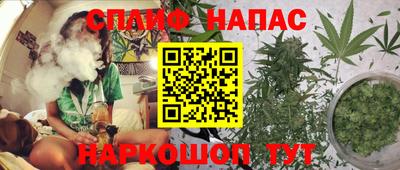 хмурый Тула