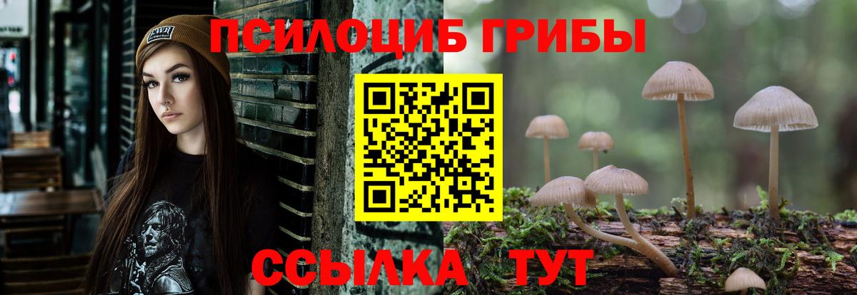 Псилоцибиновые грибы мицелий  Вход с VPN  Полысаево 