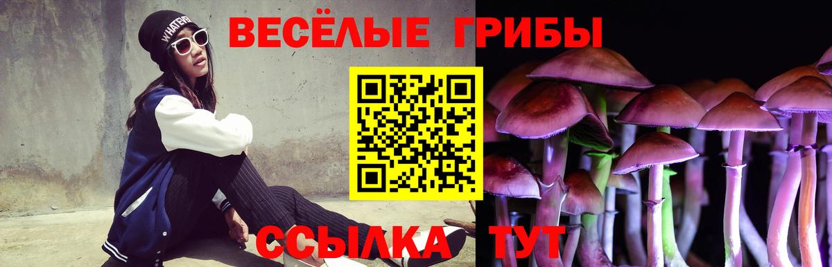 Галлюциногенные грибы мухоморы Полысаево